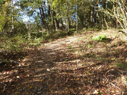 Steep cross-slope along the natural surface trail Steep cross-slope along the natural surface trail